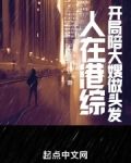 人在港综，你管这叫卧底？