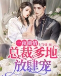 一夜锁情：总裁爹地放肆宠