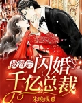 被渣后，闪婚千亿总裁