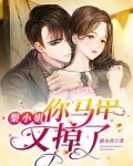 梨小姐，你马甲又掉了
