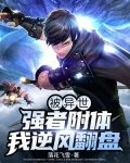 被异世强者附体，我逆风翻盘