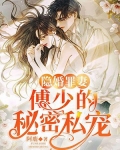 隐婚罪妻：傅少的秘密私宠