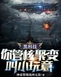 黑科技：你管核聚变叫小玩意