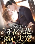 闪婚后，我成了千亿大佬的心尖宠