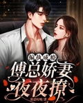 偏执成瘾：傅总娇妻夜夜撩