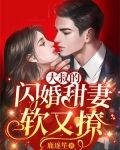 大叔的闪婚甜妻软又撩