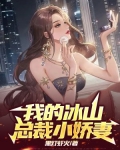 我的冰山总裁小娇妻
