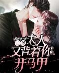 二爷，夫人又背着你开马甲