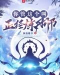 你管这个叫正经炼丹师