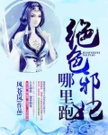 夜帝盛宠：绝色邪妃哪里跑