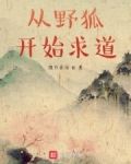 从野狐开始求道