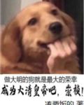 成为大清皇帝吧，崇祯！