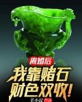 离婚后，我靠赌石财色双收！