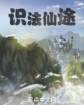 识法仙途