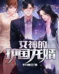 女神的护国龙婿