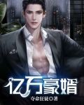 亿万豪婿