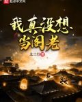 我真没想当阁老