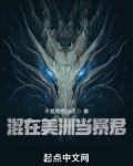 混在美洲当暴君