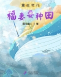 重生年代福妻要种田