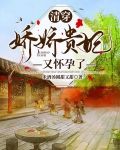 清穿：娇娇贵妃又怀孕了