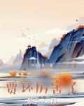 红楼之贾环厉害了