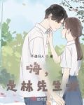 嗨，是林先生呀！