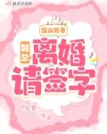 替身娇妻：贺总，离婚请签字