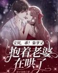 宝贝乖乖 小说