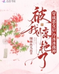 穿成恶女后，冷冰冰战神被我惊艳了