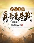 贾宝玉的哥哥竟是我（红楼）