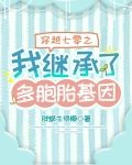 穿越七零之我继承了多胞胎基因