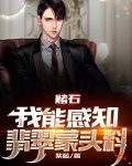 赌石：我能感知翡翠蒙头料