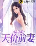 陆总的天价前妻
