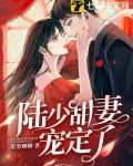 陆少甜妻宠定了