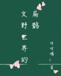 文野世界的扁鹊