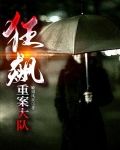 狂飙：重案大队