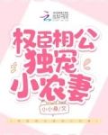 权臣相公独宠小农妻