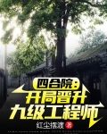 四合院：开局晋升九级工程师