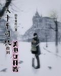 从卡车司机捡到美少女开始