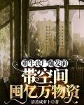 重生丧尸爆发前带空间囤亿万物资