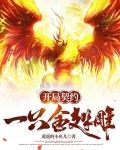 开局契约一只金翅雕