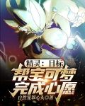 精灵：目标，帮宝可梦完成心愿