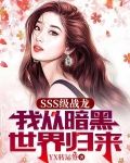 SSS级战龙：我从暗黑世界归来