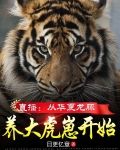 直播：从华夏龙脉养大虎崽开始