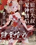 一见钟情后，狼性大叔肆意撩宠