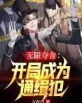 无限夺舍：开局成为通缉犯