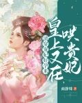 清穿宠妃好孕来，皇上又在哄贵妃