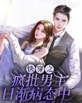 快穿之疯批男主日渐病态中