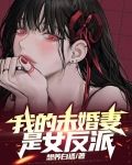 我的未婚妻是女反派