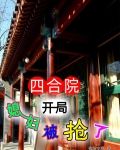 四合院：开局媳妇被抢了